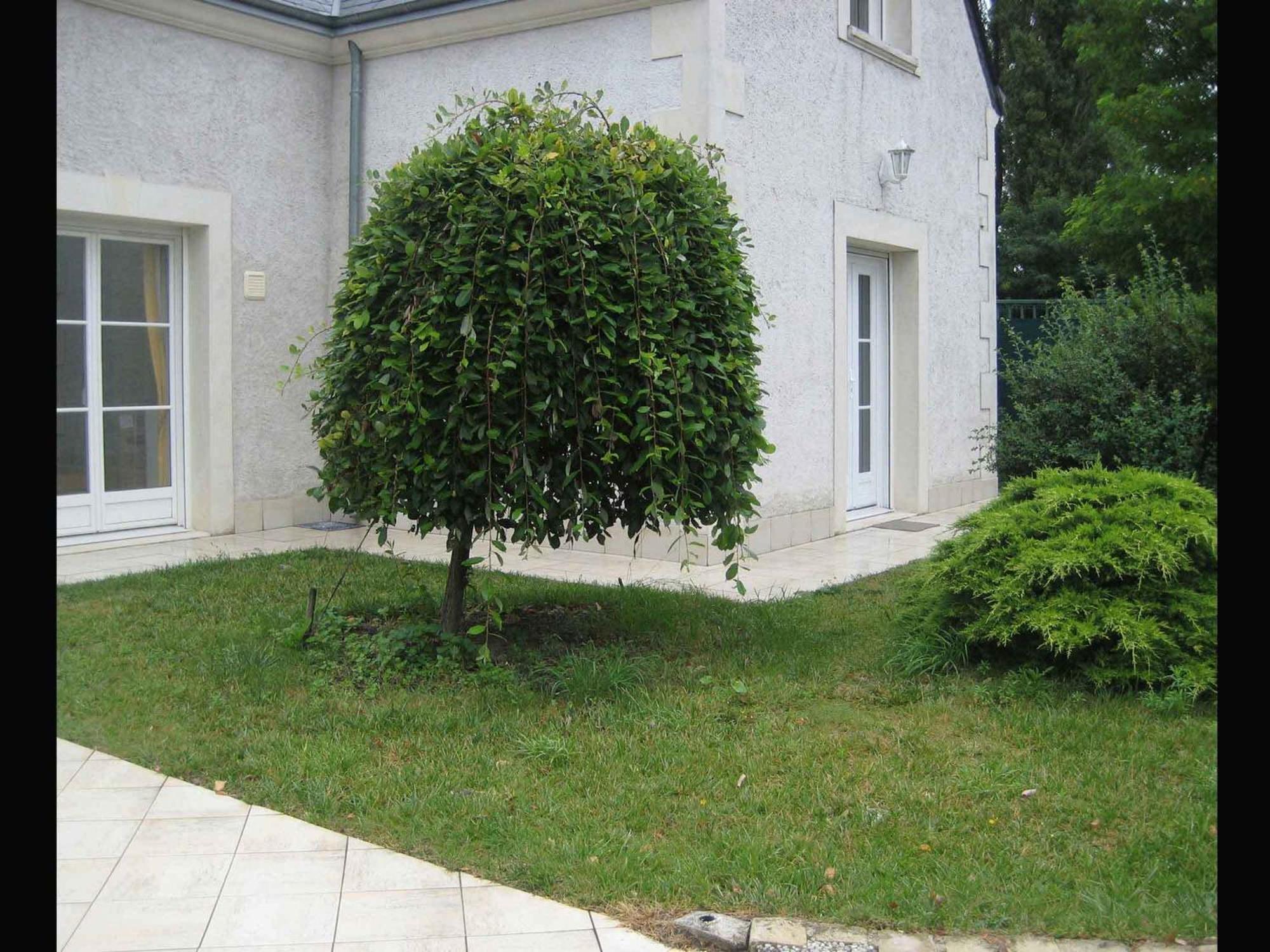 Ferienwohnung Les Agapanthes La Riche Exterior foto